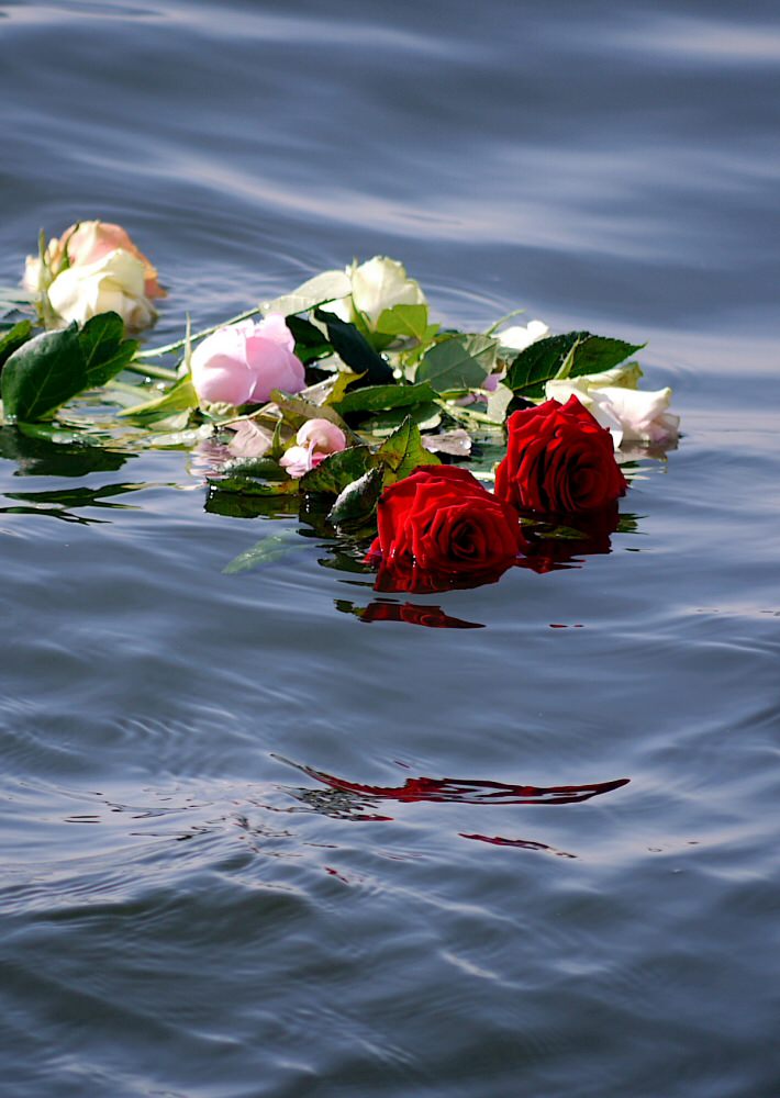 Ashes Scattering on the IJsselmeer