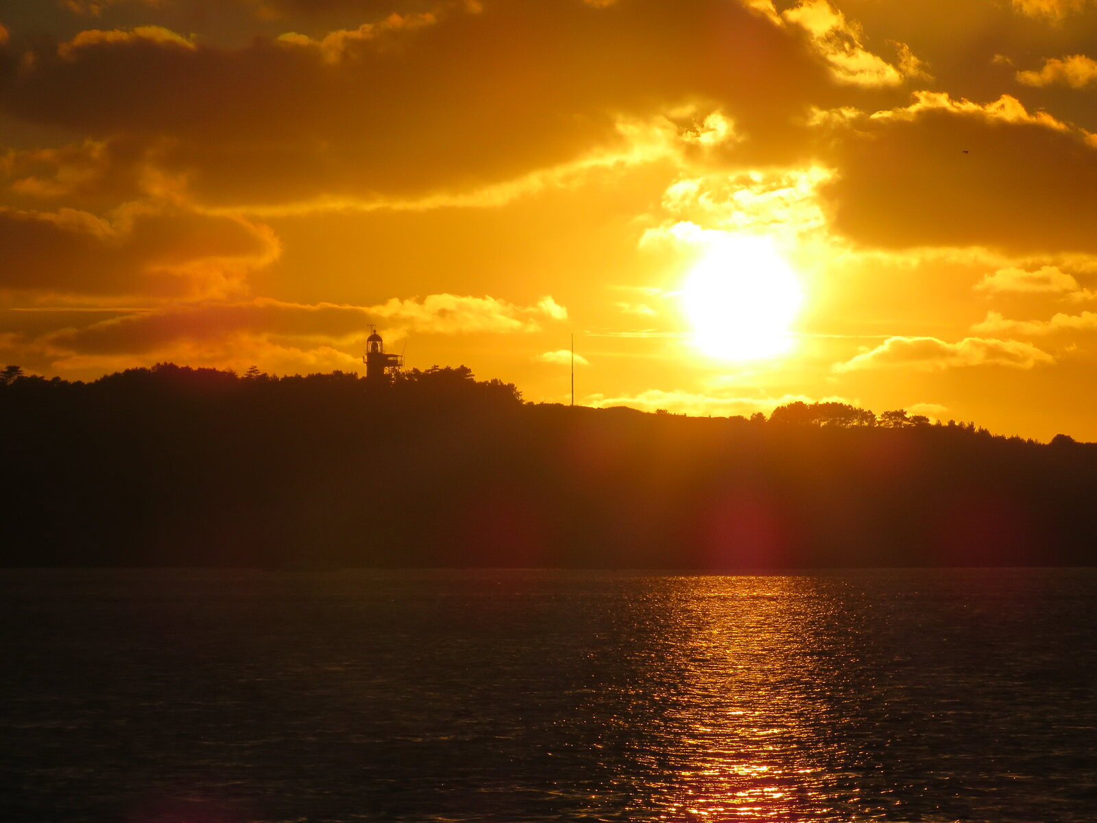 Sustainable company outing